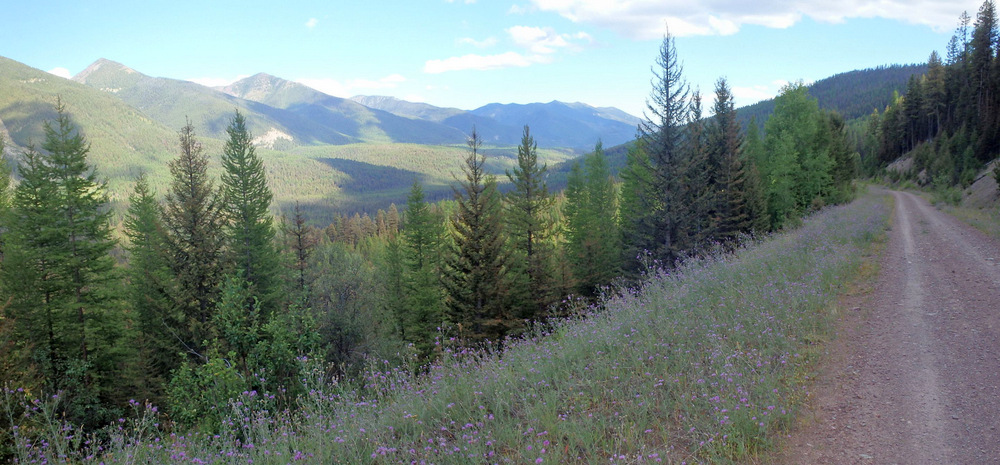 GDMBR: Morrell River Valley, looking southward.